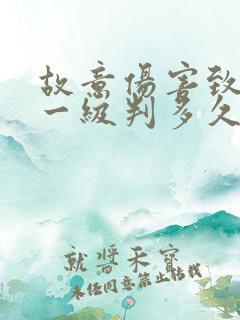 故意伤害致轻伤一级判多久