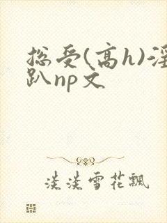 总受(高h)淫趴np文