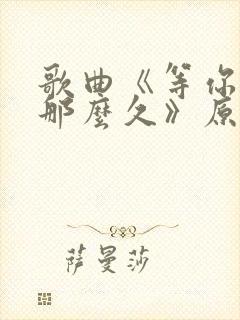 歌曲《等你等了那么久》原唱