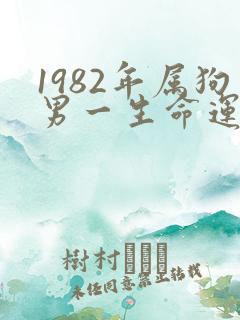 1982年属狗男一生命运如何