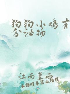 狗狗小鸡有黄色分泌物