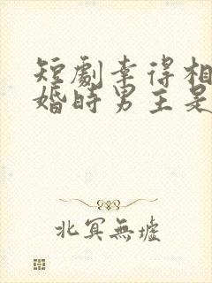 短剧幸得相遇离婚时男主是谁