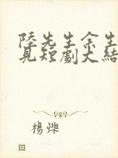 陆先生余生不再见短剧大结局