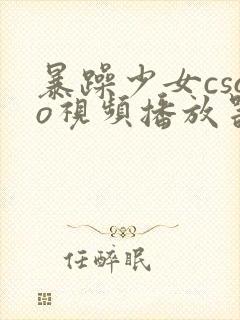 暴躁少女csgo视频播放器推荐