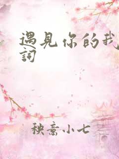 遇见你的我 歌词