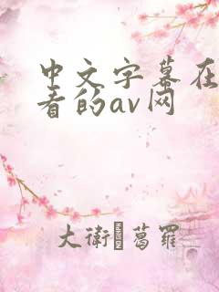 中文字幕在线观看的av网