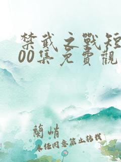 禁武之战短剧100集免费观看