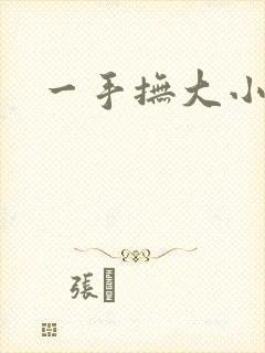 一手抚大小说