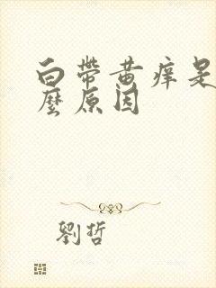 白带黄痒是是什么原因