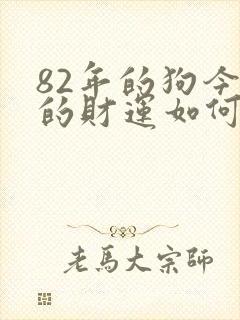 82年的狗今天的财运如何