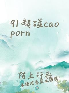 91超碰caoporn
