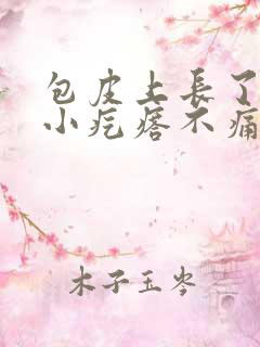 包皮上长了2排小疙瘩不痛不痒