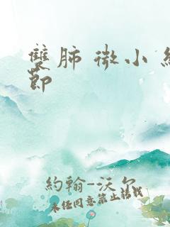 双肺 微小 结节