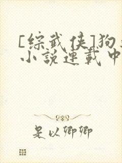 [综武侠]狗血小说连载中