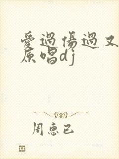 爱过伤过又错过原唱dj