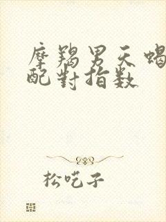 摩羯男天蝎女座配对指数