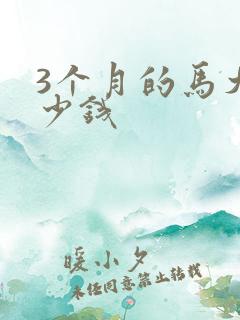 3个月的马犬多少钱