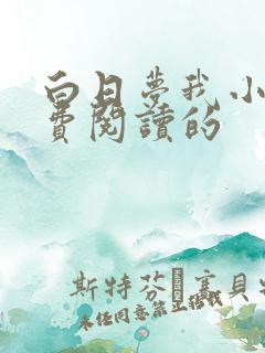 白日梦我小说免费阅读的