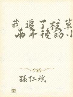 我追了校草6年 两年后的小说