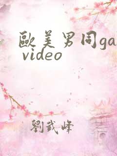 欧美男同gay video
