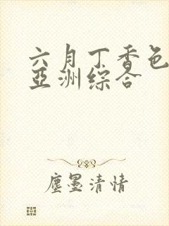 六月丁香色婷婷亚洲综合