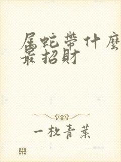 属蛇带什么饰品最招财