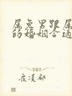 属兔男跟属牛女的婚姻合适吗