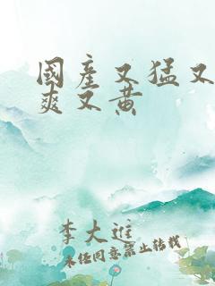 国产又猛又粗又爽又黄