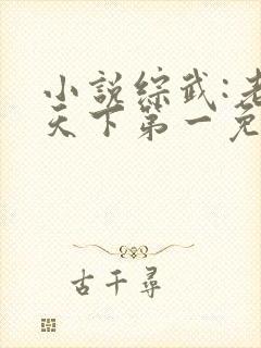 小说综武:老子天下第一免费看全文