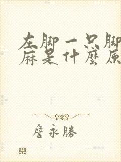 左脚一只脚都发麻是什么原因