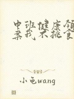 中班健康领域教案我不挑食