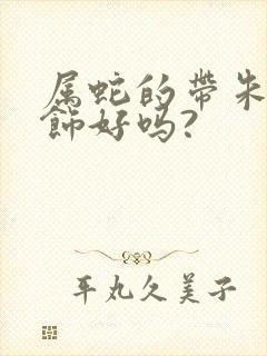 属蛇的带朱砂首饰好吗?