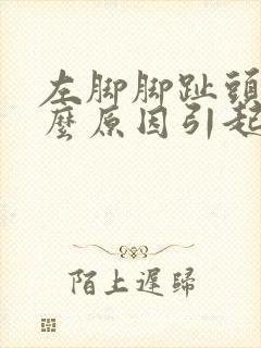 左脚脚趾头麻什么原因引起的