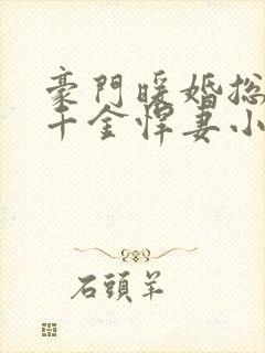 豪门暖婚总裁的千金悍妻小说