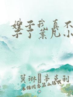 嫂子我真不是傻子了叶凡小说全文免费读