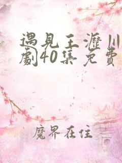 遇见王沥川电视剧40集免费观看