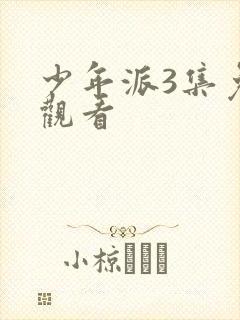 少年派3集免费观看