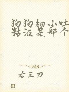 狗狗细小吐白色粘液是哪个阶段