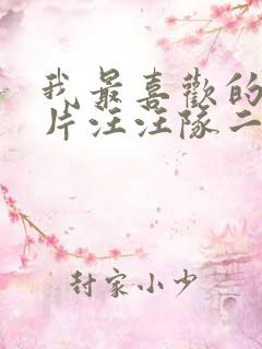 我最喜欢的动画片汪汪队二年级作文