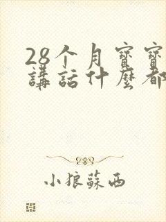 28个月宝宝不讲话什么都懂