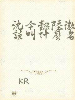 沈今懿陆徽时小说叫什么名字