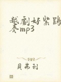 越剧好紫鹃纯伴奏mp3