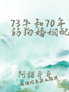 73牛和70年的狗婚姻配吗