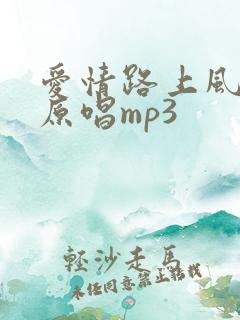 爱情路上风雨多原唱mp3