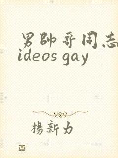 男帅哥同志网videos gay