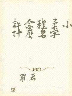 许念程柔小说叫什么名字