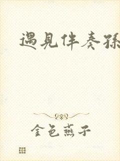 遇见伴奏孙燕姿