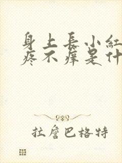 身上长小红点不疼不痒是什么原因