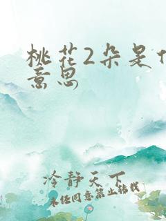 桃花2朵是什么意思