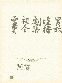 电视剧暖男记免费全集播放